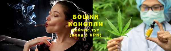 гашик Новодвинск