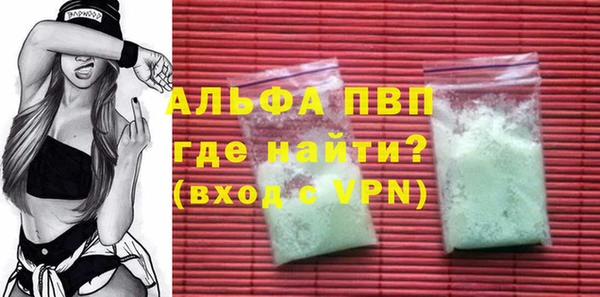 гашик Новодвинск