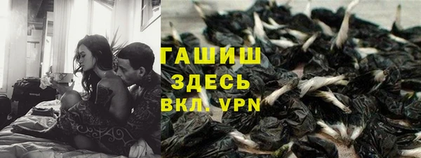 гашик Новодвинск