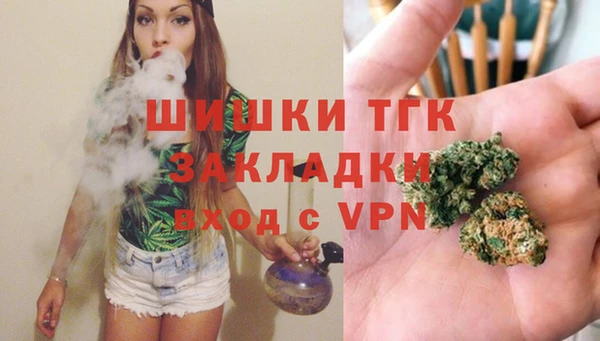 тгк Няндома