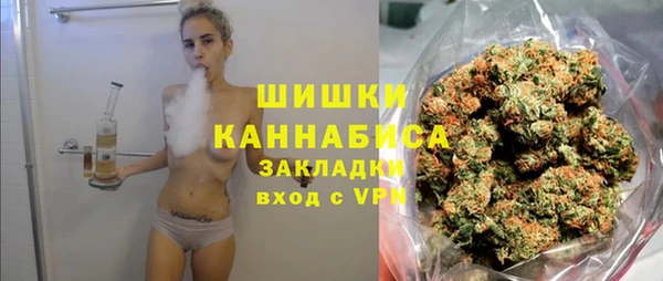 тгк Няндома