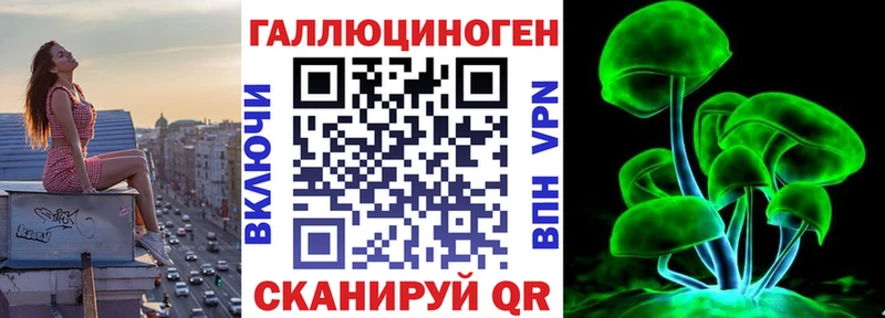 где продают наркотики  Ейск  Псилоцибиновые грибы прущие грибы 