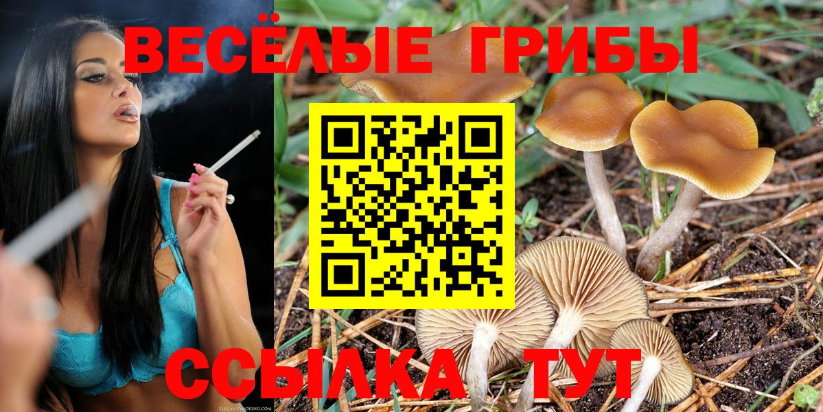 наркота  Псилоцибиновые грибы Psilocybine cubensis  Ейск  Галлюциногенные грибы Cubensis 