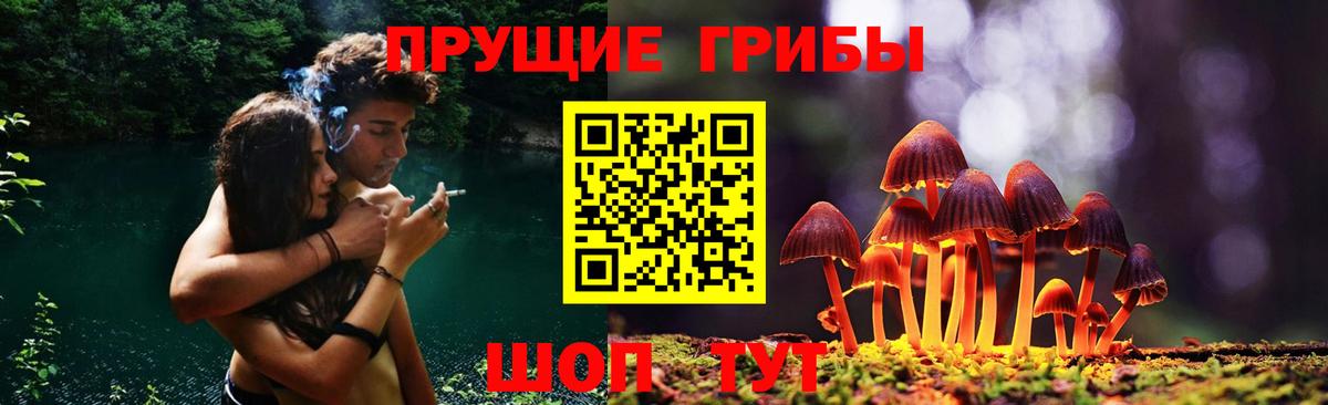 Псилоцибиновые грибы мицелий  Вход с VPN  где купить наркотик  Ейск 